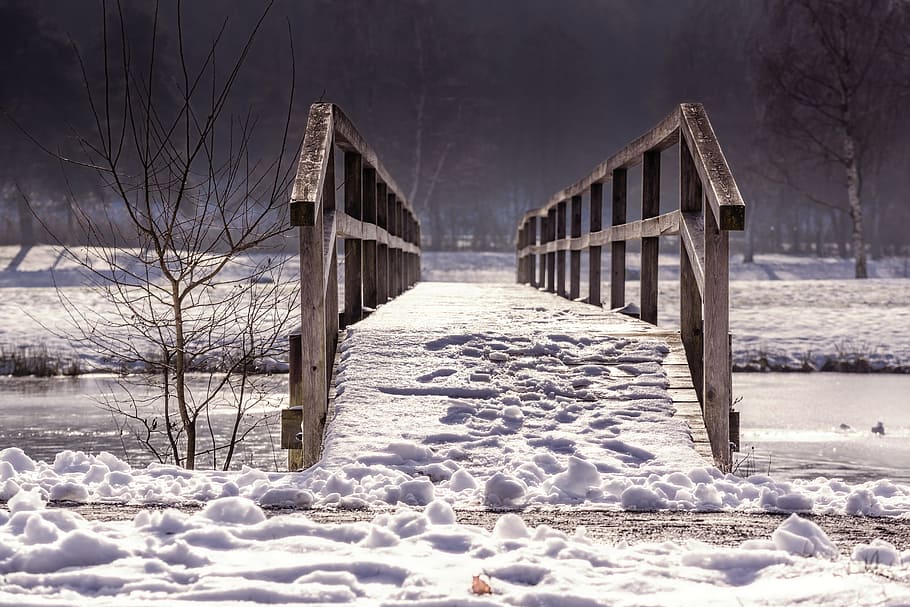 brown wooden bridge, away, web, railing, winter, nature, transition HD wallpaper