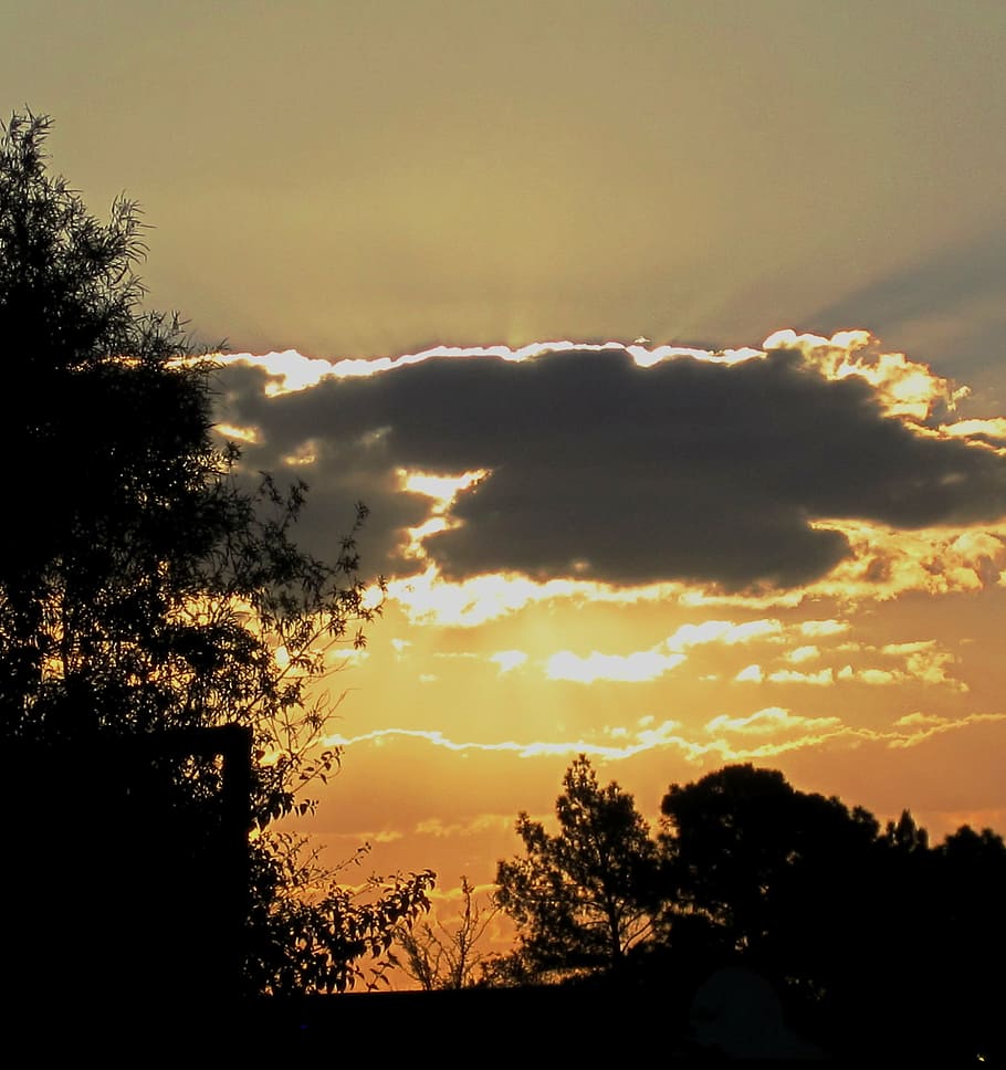 sunset, clouds, dark, edge, gilt, sky, orange-gold, glow, trees HD wallpaper