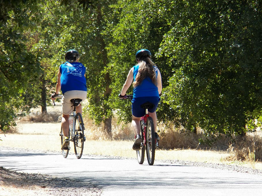 cycling, bikes, path, pathway, journey, outdoor, tree, pavement HD wallpaper