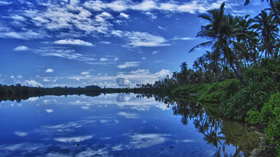 crystal, mineral, rough, water, tree, reflection, sky, plant HD wallpaper