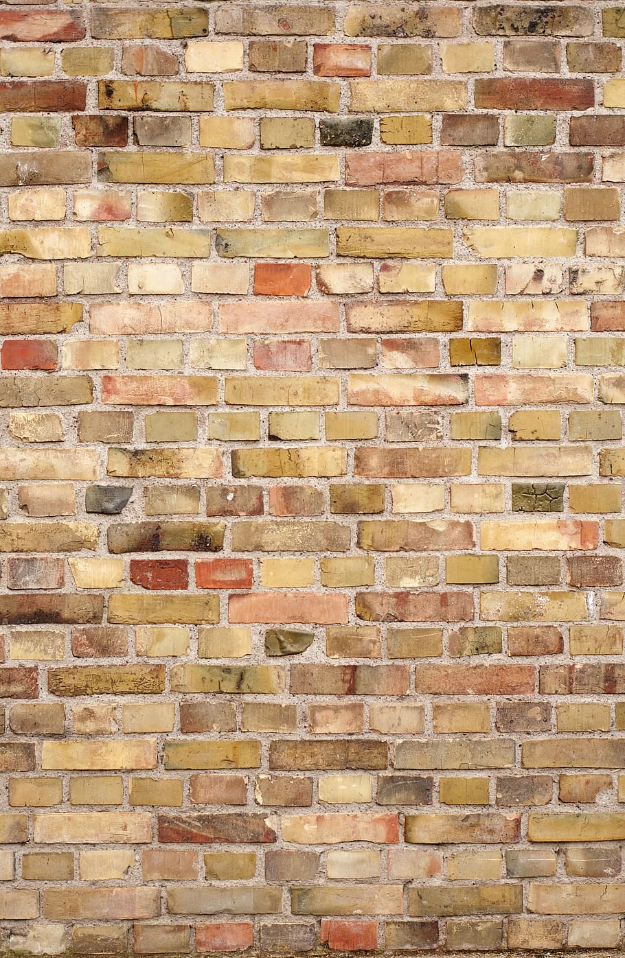 brown bricked wall illustration, background, brick wall, brick wall background HD wallpaper