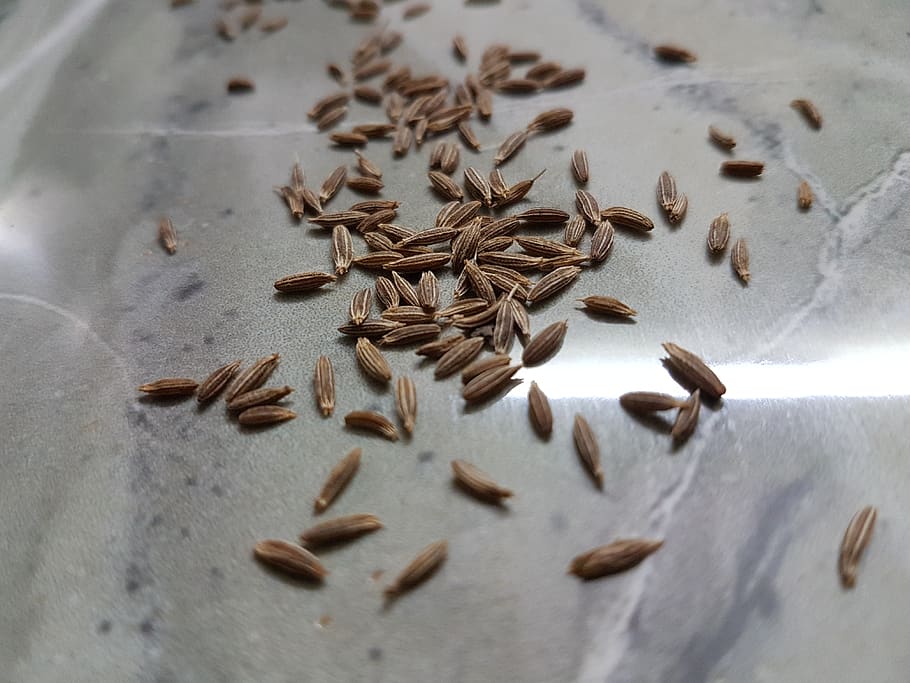 cumin seeds, spices, table, food, food and drink, still life HD wallpaper