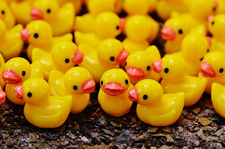 ducks, figures, group, cute, sweet, many, animal representation HD wallpaper