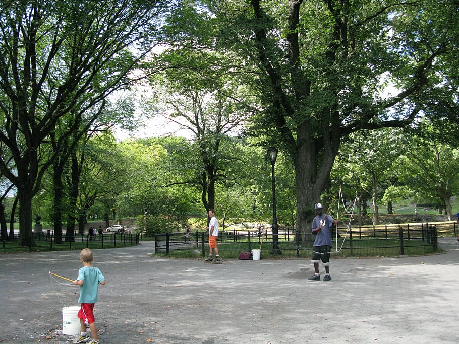 central, park, artist, nyc, central park, new york, new york city HD wallpaper