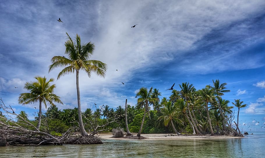 islets, lagoon, polynesia, palm tree, cloud - sky, scenics HD wallpaper