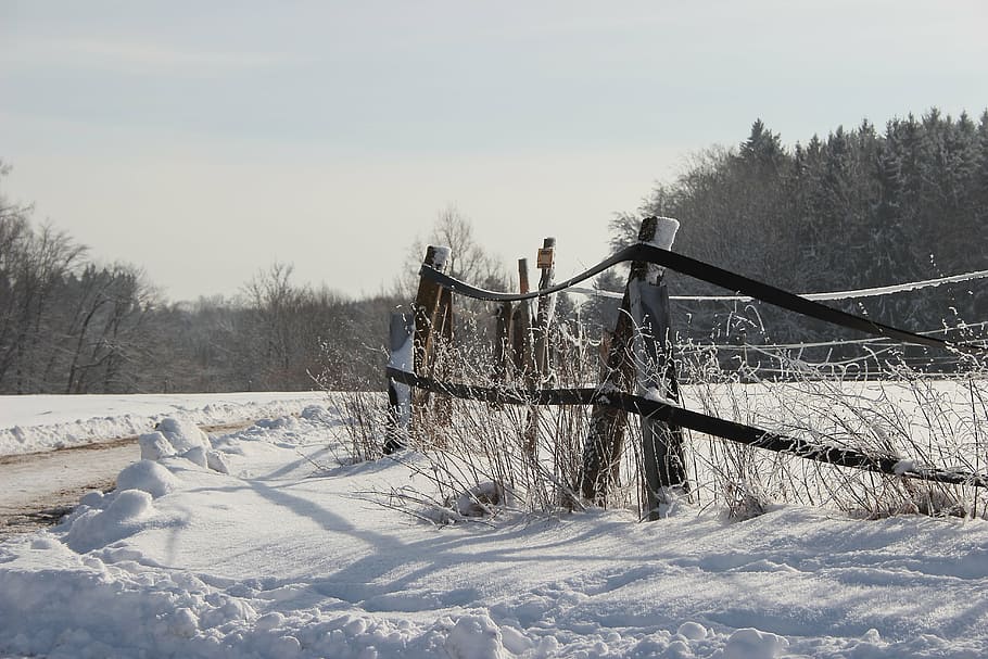 barn fence covered by snow, winter, wintry, away, forest, white HD wallpaper
