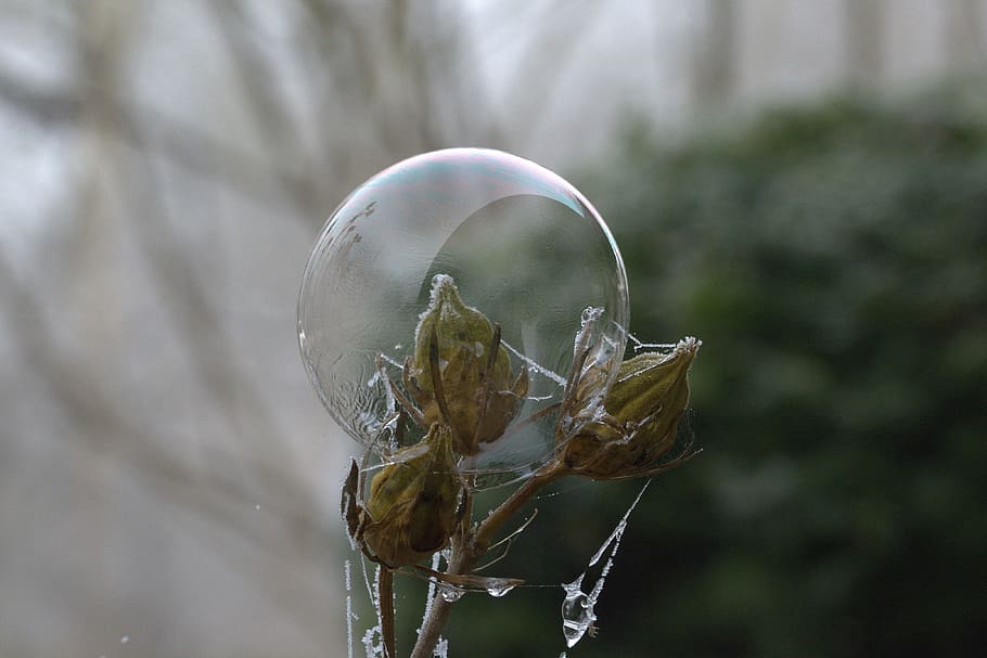 Soap Bubble, Pattern, Structure, Frozen, cold, no people, close-up HD wallpaper
