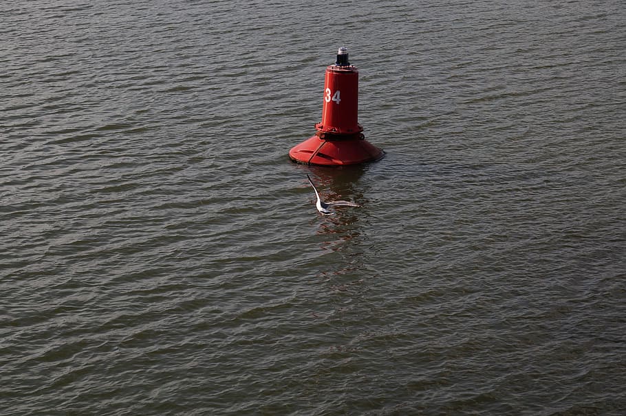 river, seagull, nature, water, red, waterfront, safety, protection HD wallpaper