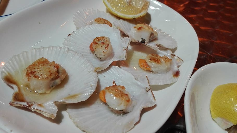 shells, scallops, seafood, galicia, plate, food and drink, freshness HD wallpaper
