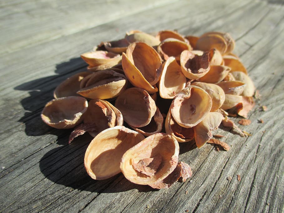 pistachio, shell, fruit, food, food and drink, wood - material HD wallpaper