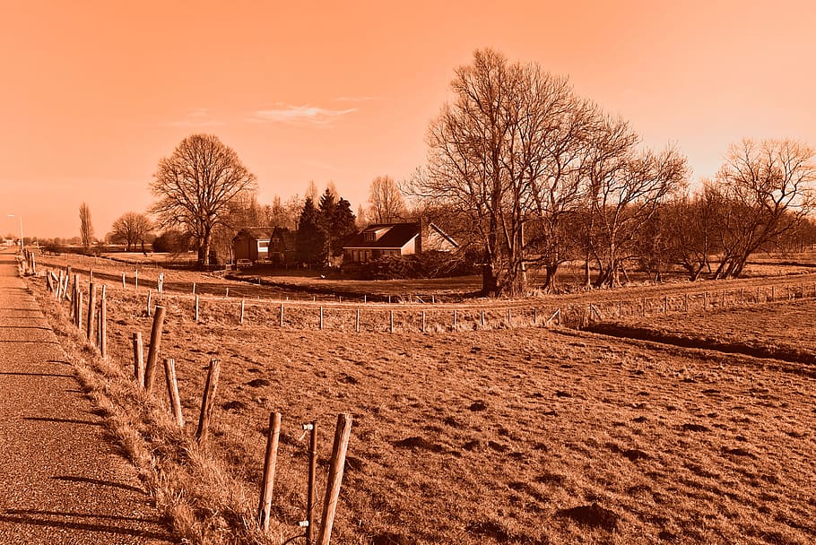 meadow, fence, post, fence post, farmhouse, road, trees, landscape HD wallpaper