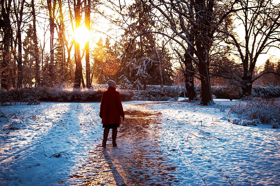 cold, dawn, dusk, nature, path, person, snow, trees, winter HD wallpaper