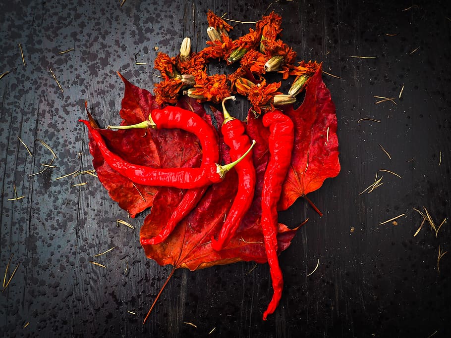 red jalapenos on dried leaves, Still Life, Pepperoni, Vegetables, HD wallpaper