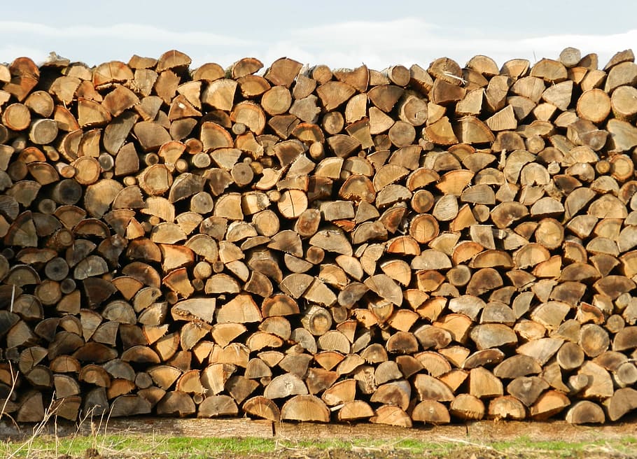 wood, heap, stacked, brown, logs, cup, heating, forest, nature, HD wallpaper