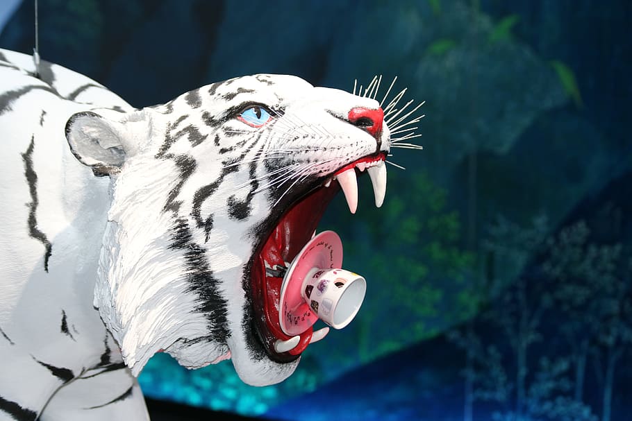 tiger, white, predator, white tiger, dangerous, animal themes HD wallpaper