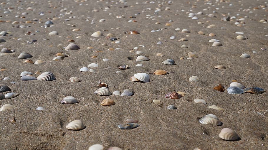 sand, beach, costa, sea, land, high angle view, nature, day HD wallpaper