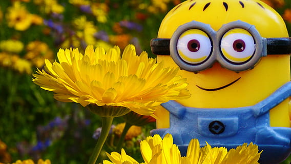 minion, figure, funny, flowers, meadow, toy play, yellow, flowering plant HD wallpaper