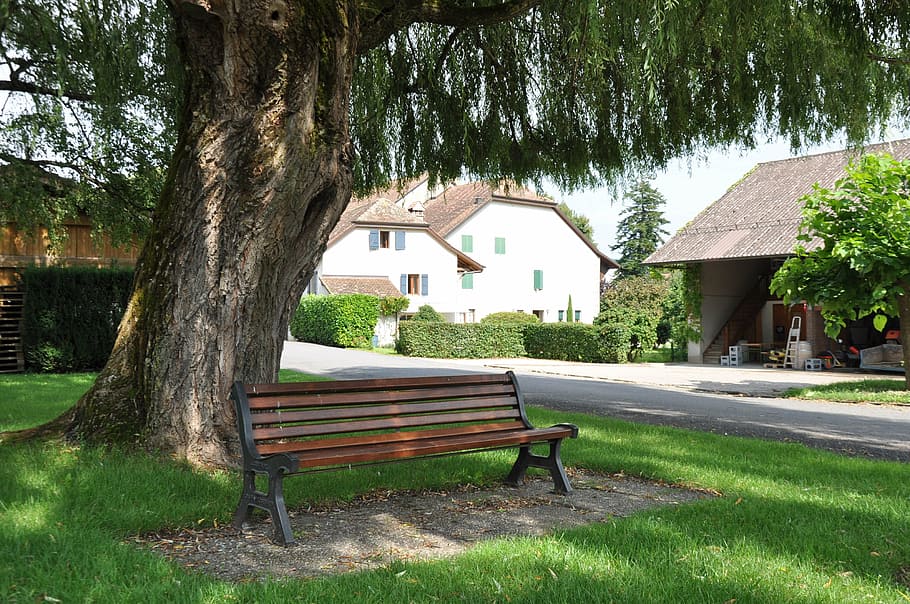 park bench, seat, tree, laconnex, geneva, outdoors, grass, nature HD wallpaper