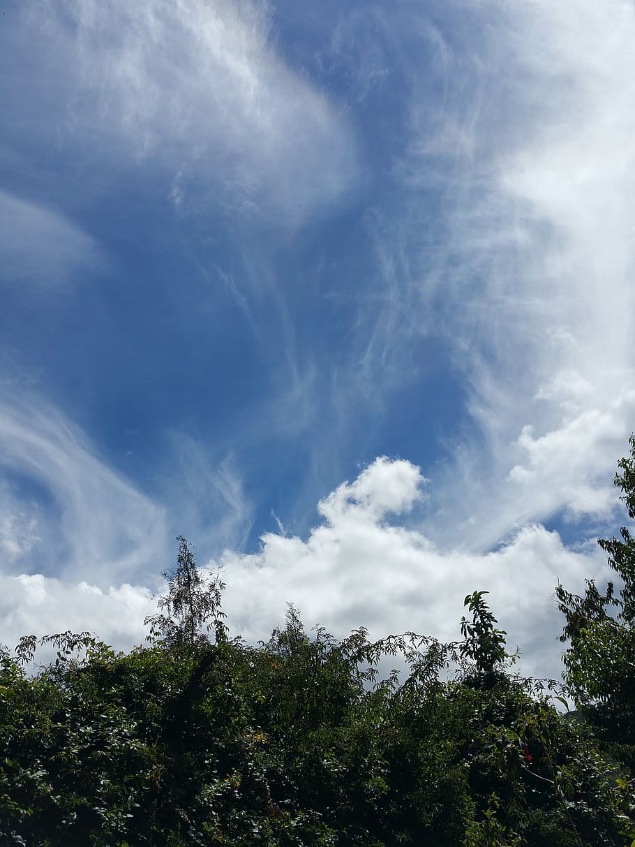nature, sky, landscape, panoramic, tree, cloud, cloud - sky HD wallpaper