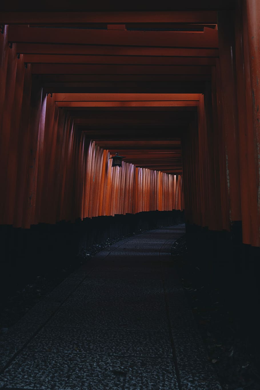 brown wooden tunnel, brown tori gate tunnel, red, travel, visit kyoto, HD wallpaper