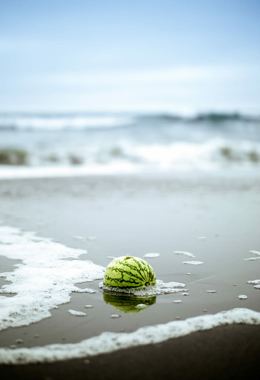 shallow focus photography of watermelon on body of water, watermelon fruit on seashore HD wallpaper