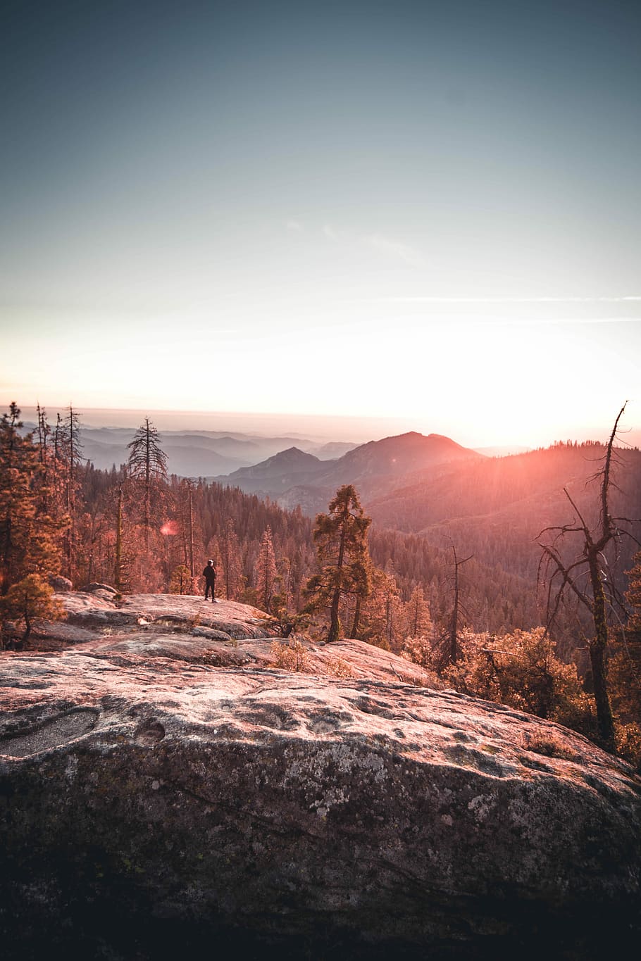 brown trees on top of mountain, person on top of mountain during sunset