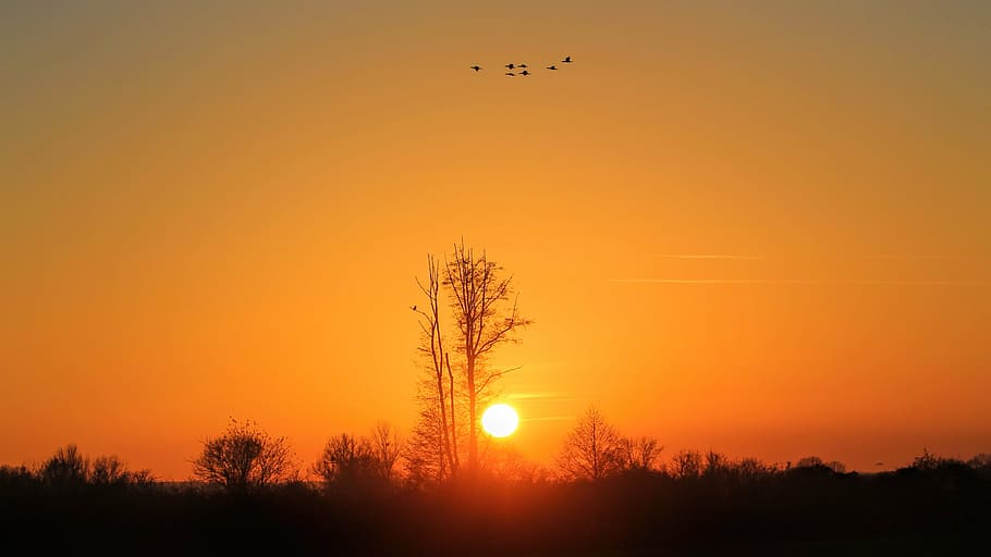landscape, sunset, twilight, nature, sky, evening sky, clouds HD wallpaper