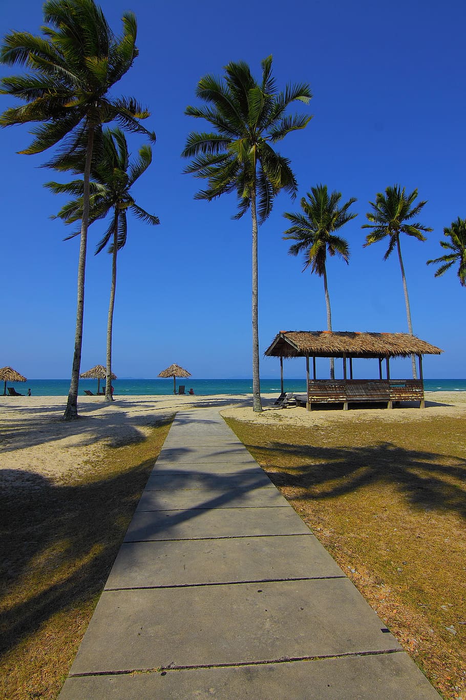 sea, landscape, nature, sky, beach, beach chairs, clouds, coconut HD wallpaper