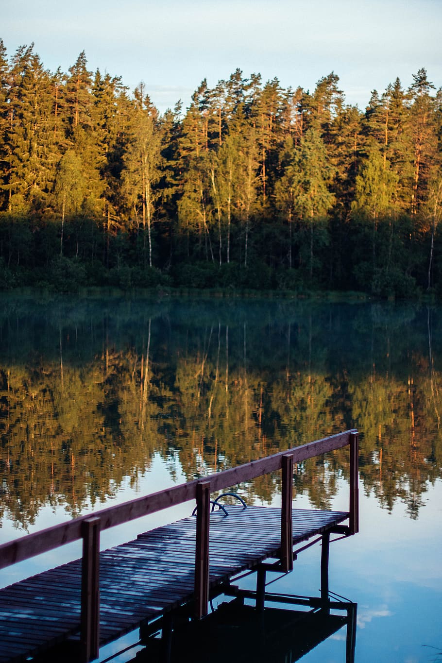 Lagoon Surrounded by Green Trees at Daytime, dawn, daylight, dock HD wallpaper
