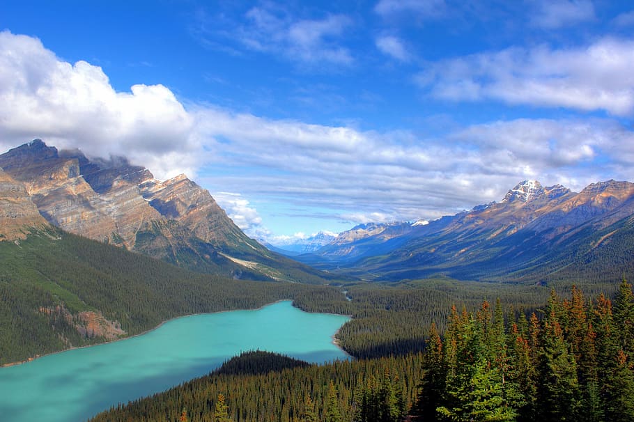 landmark photography of forest and mountains, river, valley HD wallpaper