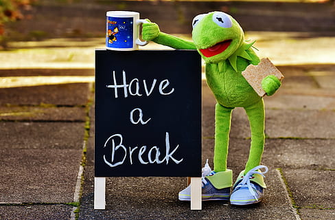 Have a Break chalkboard beside frog plush toy holding mug, kermit HD wallpaper