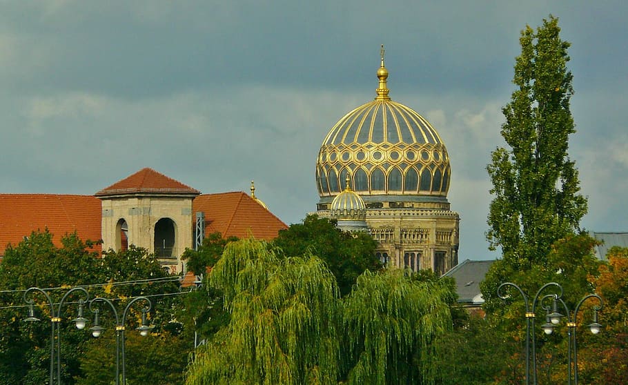 concrete structure surrounded by trees, berlin, city view, synagogue HD wallpaper