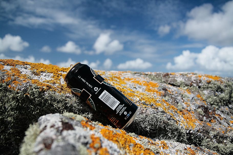 pollution, box, seaweed, moss, made, garbage, waste, waste disposal HD wallpaper