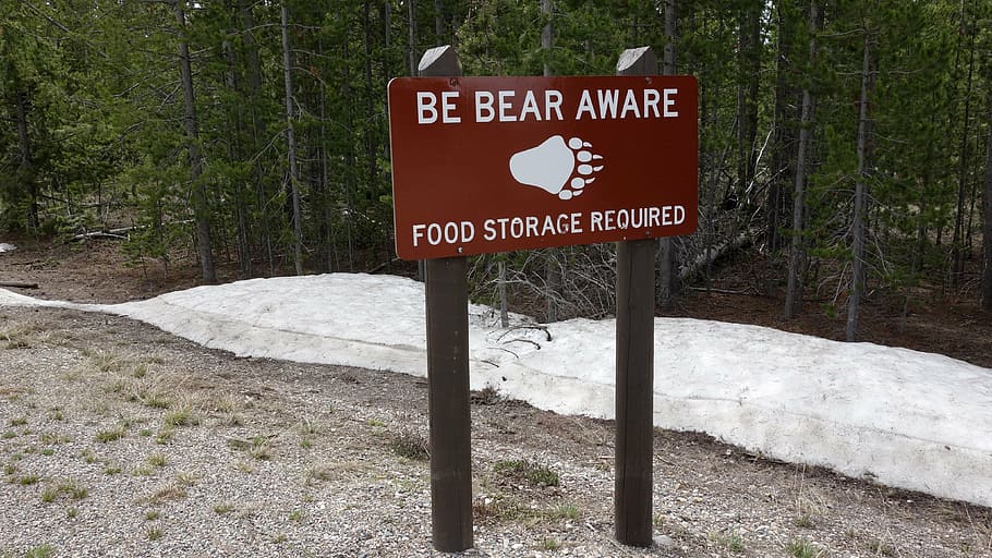bears, warning, warning sign, animals, beasts, danger, communication HD wallpaper