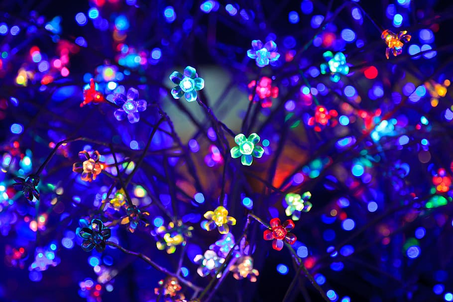assorted-color flower string lights close up photo, abstract HD wallpaper