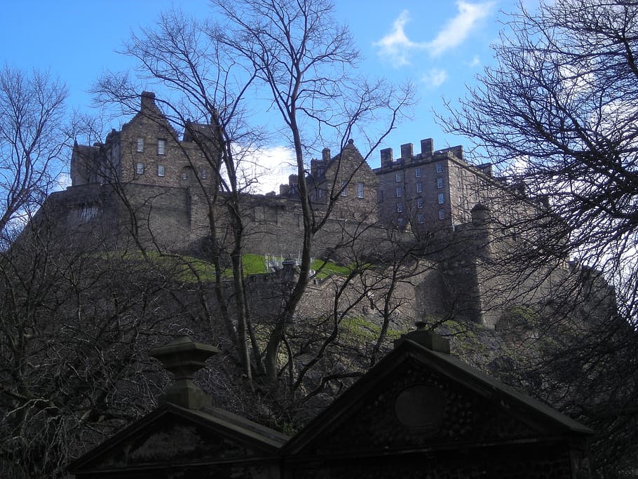 castle, edinburgh, scotland, architecture, tree, built structure HD wallpaper