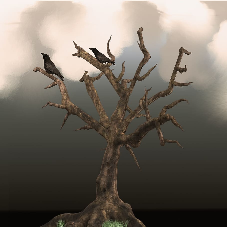 tree, raven, clouds, bird, crow, birds, gloomy, mystical, lighting HD wallpaper