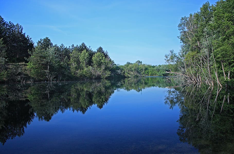 Danube, River, Bratislava, reflection, tree, water, blue, lake HD wallpaper