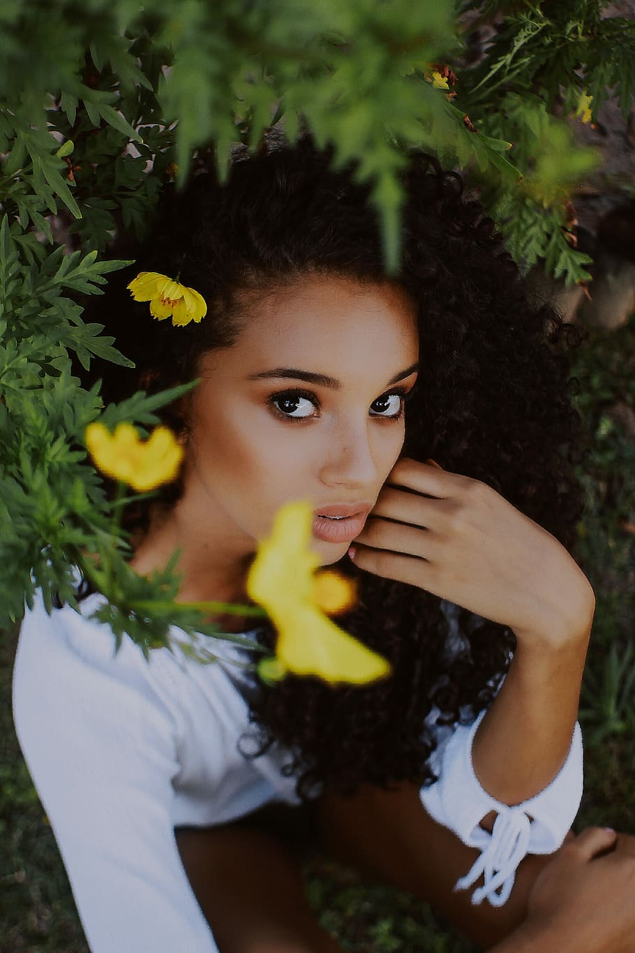 women's white scoop-neck long-sleeved blouse beside yellow petaled flower plants during daytime, woman sitting under yellow petaled flower, HD wallpaper