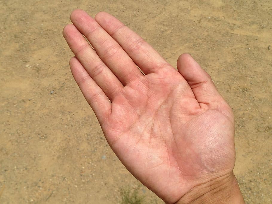 Palm, Hand, Finger, Bleaching, palm reading, young, japanese HD wallpaper