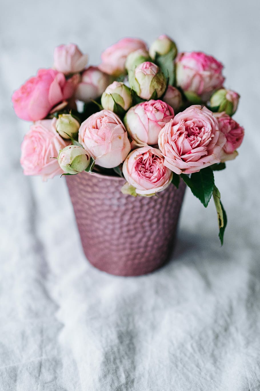Pink roses in pot, flowers, flora, lovely flowers, bouquet, pink Color