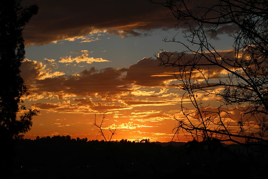 sunset, nature, orange, morning, scenic, summer, clouds, branches HD wallpaper