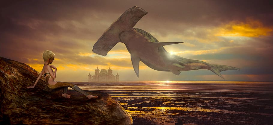 hammerhead shark digital illustration, fantasy, girl, fish, fly, HD wallpaper