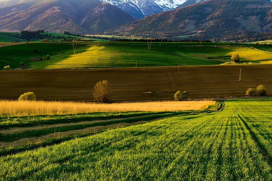 mountains, fields, meadow, path, nature, country, views, grass HD wallpaper