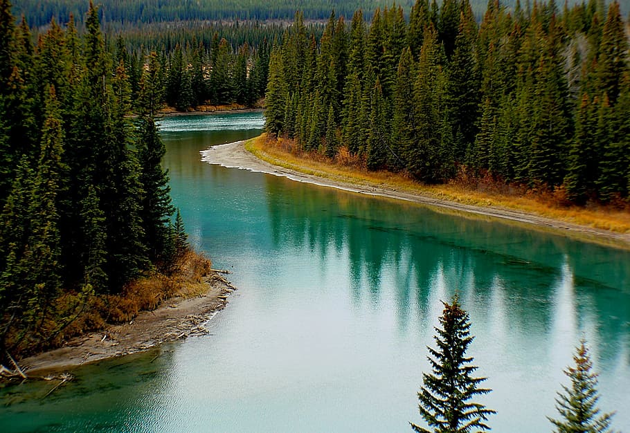 lake between trees photo, landscape, bow river, alberta, canada HD wallpaper