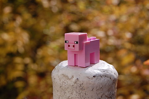 selective focus photo of pink animal minecraft toy on rock HD wallpaper