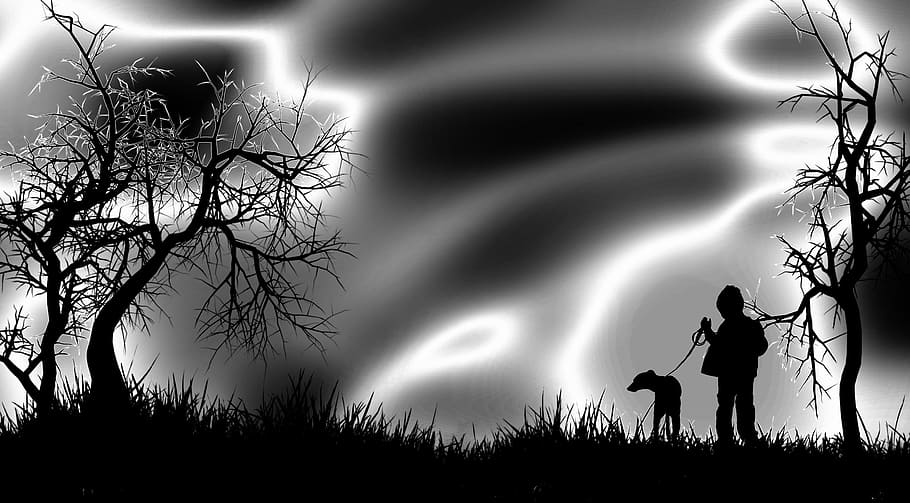 Tree, Grass, White, Fine Art, black, silhouette, night, horror HD wallpaper