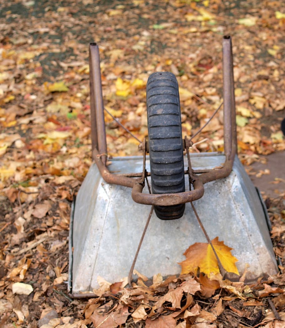 wheelbarrow, garden, autumn, plant part, leaf, metal, day, no people HD wallpaper