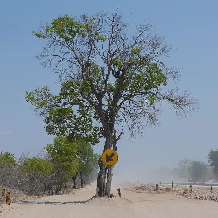 Namibia, Africa, Road, Tree, Street Sign, nature, sky, outdoors HD wallpaper