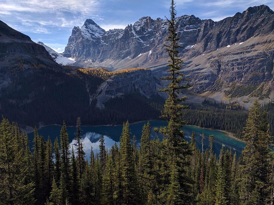 mountain, mountains, alberta, scenics - nature, tree, beauty in nature HD wallpaper